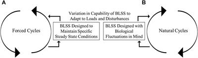 Terraform Sustainability Assessment Framework for Bioregenerative Life Support Systems